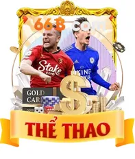 thể thao 66B